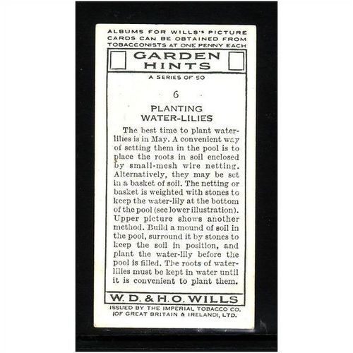 WD & HO WILLS - 1938 GARDEN HINTS NO6 PLANTING WATER - LILIES Mint