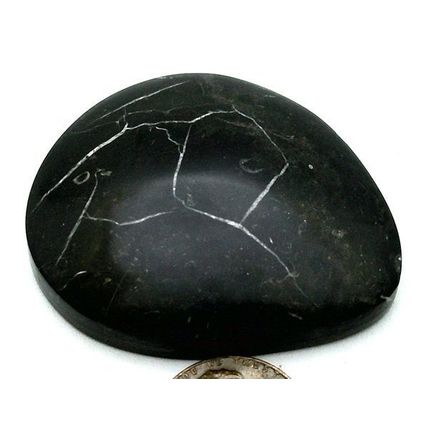 Black Septarian Freeform Gemstone Cabochon 473