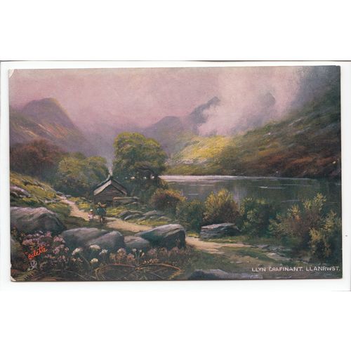 Llyn Crafinant Llanrwst 1907 Oilette Art Postcard