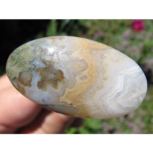 Prudent Man Plume Agate Oval Cabochon: Multicolor Plumes, Banding; 32+cts; Idaho