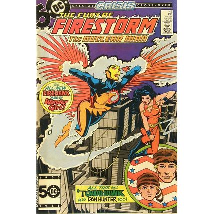 Firestorm (Vol 2) The Fury of # 042 NM MODERN AGE COMICS