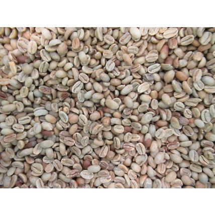 5 LB Green Unroasted Coffee Beans Costa Rica Red Honey GESHA GEISHA MICROLOT '22