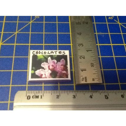 Pink Flower Chocolate Box - Empty 1:12th Dolls House Miniature