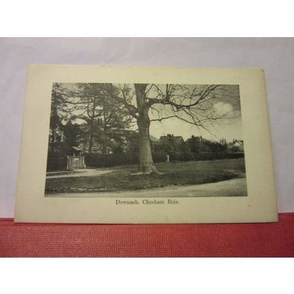 DOWNASH. CHESHAM BOIS, BUCKINGHAMSHIRE unused antique postcard =