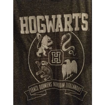 Harry Potter Hogwarts T-Shirt Adult Large Draco Dormiens Nunquam Titillandus