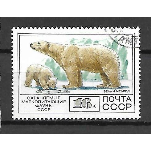 USSR 1977 Animals - 16K Bear Ursus Maritimus VF USED