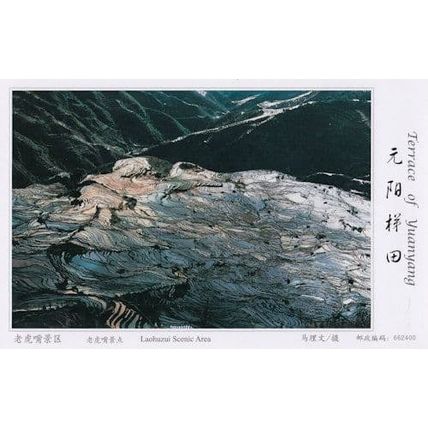 Laohuzui Scenic Area Aerial Terrace Of Yuanyang China Postcard
