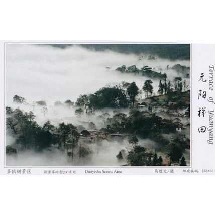 Douyishu Scenic Area Aerial Terrace Of Yuanyang China Postcard