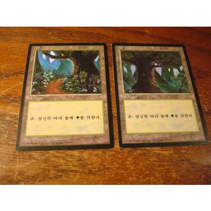Magic The Gathering, MTG, 3- Cards, 1996, Different, Japanese, FOREST, nm