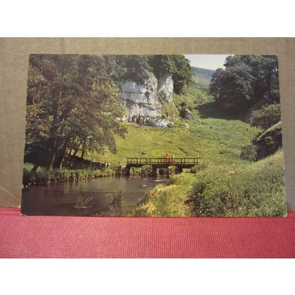 BERESFORD DALE, DERBYSHIRE. unused postcard =