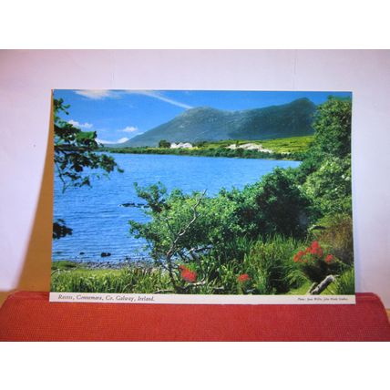 RECESS, CONNEMARA CO. GALWAY, IRELAND unused vintage postcard by J Hinde =