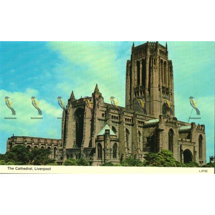 Cathedral, Liverpool, L0732 ETW Dennis Pristine Photocolour Postcard, 1960s