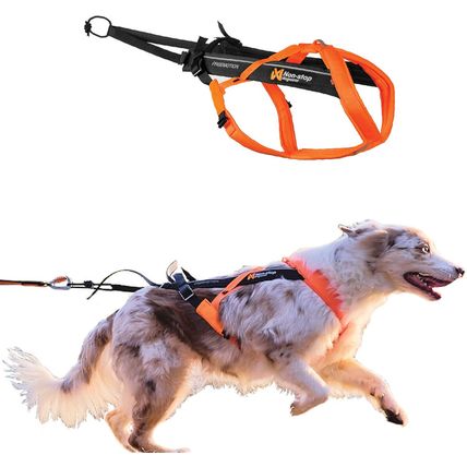 Non-Stop Dogwear Freemotion Harness 5.0 Dog Pulling Harness for Sports like Runn