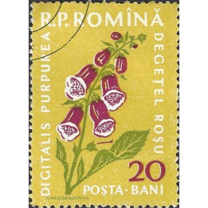 ROMANIA, FLOWER, Foxglove, yellow 1959, 20bani