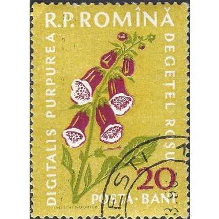 ROMANIA, FLOWER, Foxglove, yellow 1959, 20bani, #2