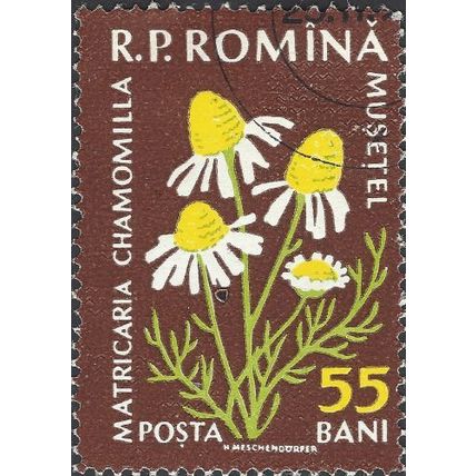 ROMANIA, FLOWER, Matricaria chamomilla, brown 1959, 55bani, #2