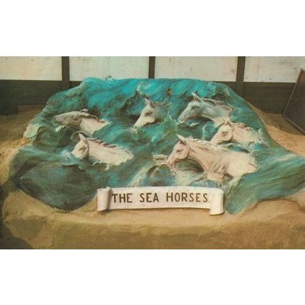Sea Horses Weymouth Dorset Sand Model Artist Hand Signed 1970s Postcard