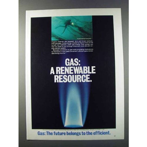 1981 AGA American Gas Association Ad - Renewable