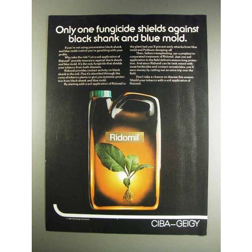 1982 Ciba-Geigy Ridomil Ad - Black Shank and Blue Mold