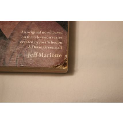 Angel STRANGER TO THE SUN Jeff Mariotte