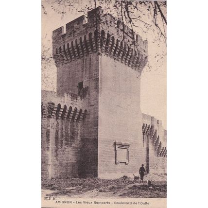 Avignon Man Walking His Dog At Avenue Ramparts Old French Postcard