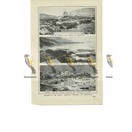Caracas, Venezuela, 3 Scenes, Book Illustration (Print), 1909