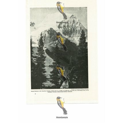 Mount Robson, Canadian Rockies, Book Illustration (Print), 1935