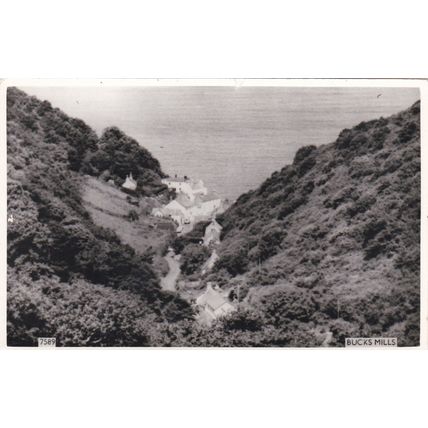 B661 BUCKS MILLS. R/P POSTCARD