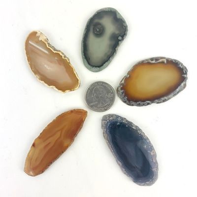 Agate Slice | 50-60mm | Brazil[ ]
