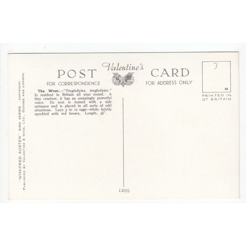 Winifred Austen Postcard Wren Bird Art 1299