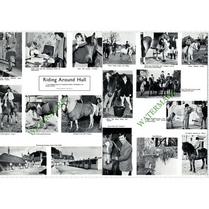 9682) Northlands Stables Walkington Bensted Wiles Hildyard Syder - 1967 Cutting