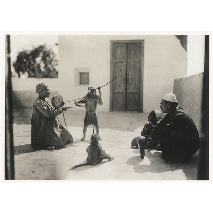 Dancing Monkey In Chains Egypt Egyptian Circus Photo Postcard