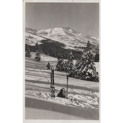 Switzerland Lenzerheide Alpine Skiing Backpack Ski Tracks Postcard