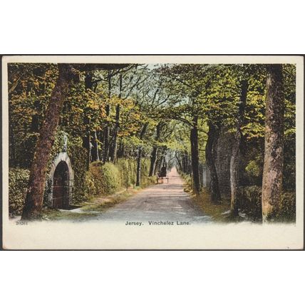Vinchelez Lane, Jersey, c.1905-10 - Picture Postcard