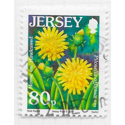 JERSEY 2007 FLOWERS MOUSE EAR HAWKWEED WILD 80p USED