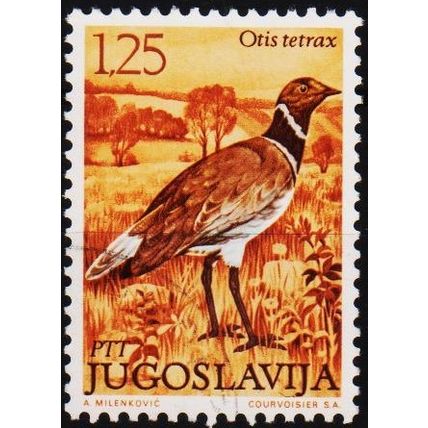 Yugoslavia. 1972 1d25 S.G.1517 Used
