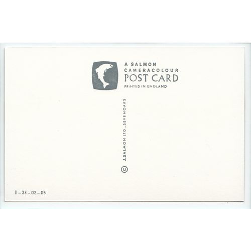 Tixall Wide Staffordshire & Worcestershire Canal Postcard 0205