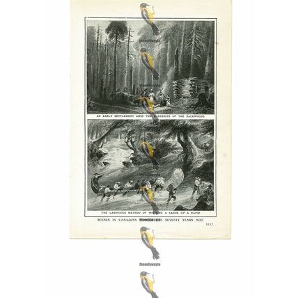 Canadian Pioneer Life, c1840, Canada, Book Illustration (Print), 1909