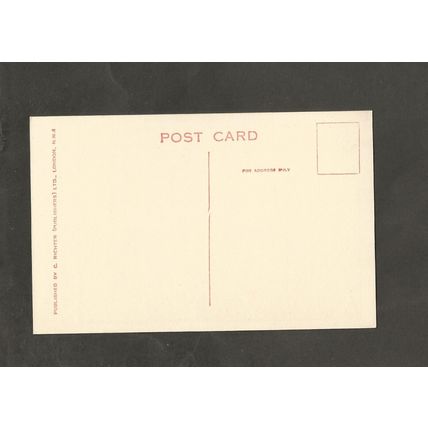 C Richter Cards Saucy Comic Postcard 12061