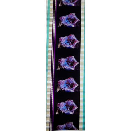 Pk GEB - B - MIX - A 024x. 1 STRIP OF 5 - 35MM FILM CELLS. ( AVP )