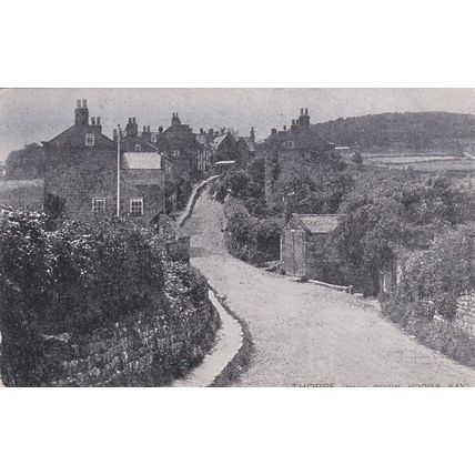 E220 THORPE -NEAR ROBIN HOODS BAY