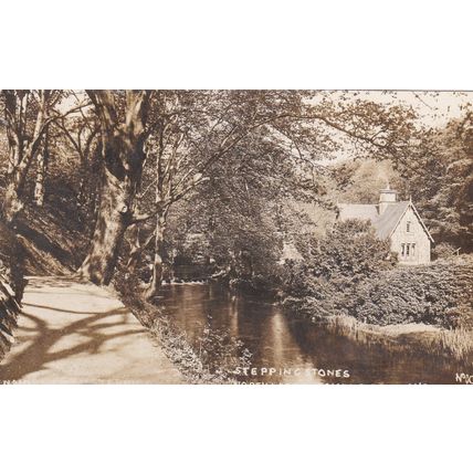 EC391 JESMOND DENE -NORTH LODGE STEPPING STONES . R/P POSTCARD