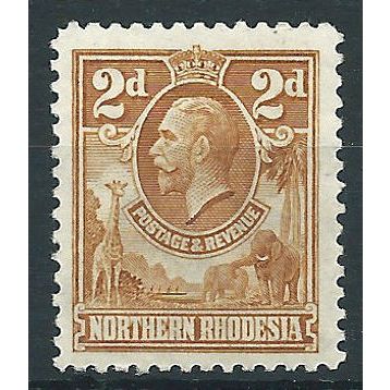 Northen Rhodesia 1925 SG4 2d Yellow-Brown Mounted Mint .. ..