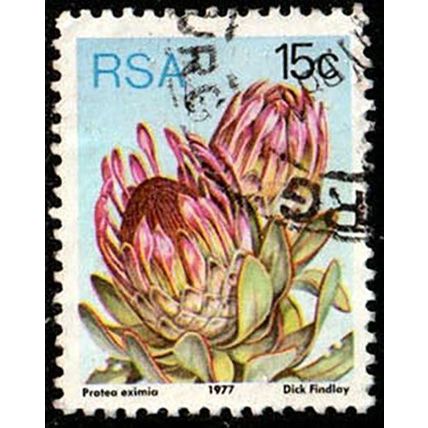 South Africa RSA 1977 Flowers Protea 15c Used Stamp