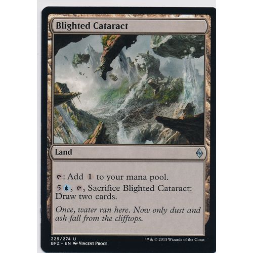 Magic the Gathering MTG Battle For Zendikar 229/274 Blighted Cataract