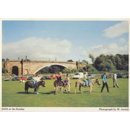 Chester Roodee Childrens Donkey Rides Cheshire Postcard