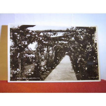 ROSE WALK, WEYMOUTH, DORSET. unused vintage postcard RP =