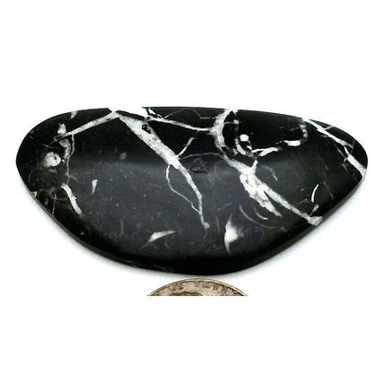 Black Septarian Freeform Gemstone Cabochon 475