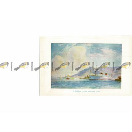 Mailboat Leaving Cape Town Docks, South Africa, Book Illustration (Print), 1929