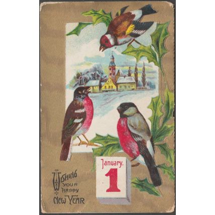 Wishing You A Happy New Year, Finches, 1913 - Embossed Postcard